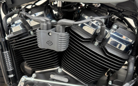 HARLEY FXFBS 2026 YLK