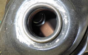 YAMAHA TRICKER DG10J