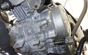 HONDA ｸﾛｽｶﾌﾞ50 AA06