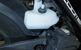 HONDA ZOOMER 2026 AF58