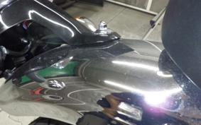 KAWASAKI W800 2025 EJ800E