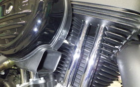 HARLEY XL1200NS 2019