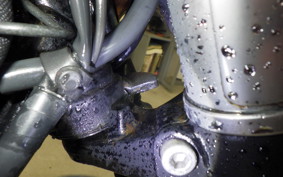 KAWASAKI W800 2022 EJ800E