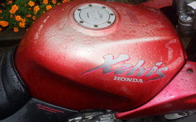 HONDA XELVIS 1982 MC25