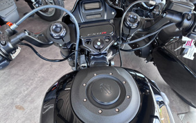 HARLEY FXDR114 2019 YVK