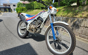 HONDA TLR250R MD18