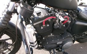 HARLEY XL883N 2015 LE2