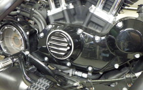 HARLEY XL883N 2015