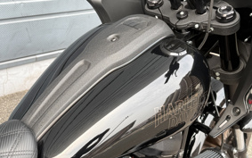 HARLEY FXLRST 2024 YXZ