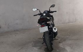 KAWASAKI Z250 EX250P
