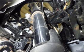 SUZUKI GSX250RA 2008