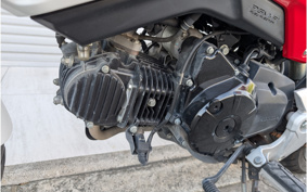 HONDA GROM JC75