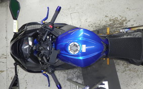 KAWASAKI NINJA 250 EX250L