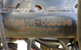 KAWASAKI Z250 FS KZ250R