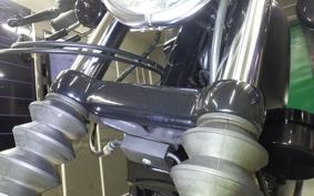HARLEY XL883N 2021