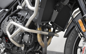TRIUMPH TIGER 900 2022 TRE64D