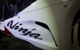 KAWASAKI NINJA ZX-6R A 2025 ZX636J