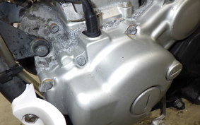 YAMAHA WR250X DG15J