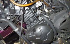 KAWASAKI NINJA 250 2018 EX250L