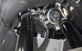 YAMAHA YZF-R25 2006 RG43J