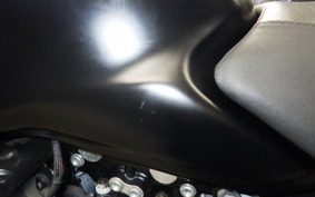 DUCATI MONSTER 821 2020