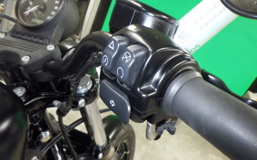 HARLEY XL883N 2018