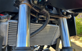HONDA CB250 MC43
