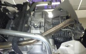 HONDA C110 SUPER CUB