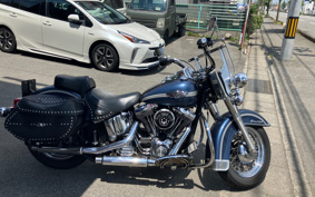 HARLEY FLSTC 2003 BJY