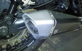 OTHER +MUTT DRK-01 250 1999