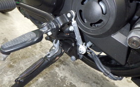 HARLEY XG750 STREET ROD 2020