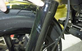 HARLEY FXDLS1800 2016