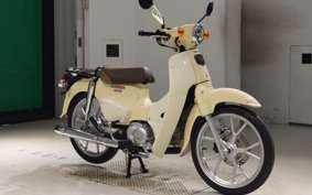 HONDA C110 SUPER CUB