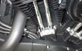 HARLEY XL1200NS 2019