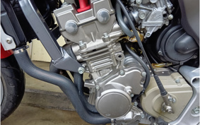 HONDA HORNET 250 MC31