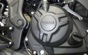 YAMAHA YZF-R25 2007 RG10J