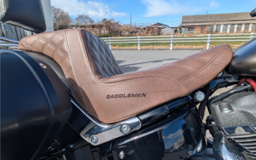 HARLEY  HARLEY FLSB SPORT GURAIDO 2020 YMJ