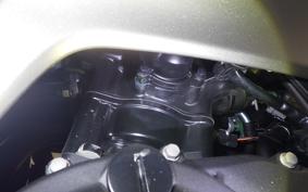 KAWASAKI NINJA 250 2023 EX250Y