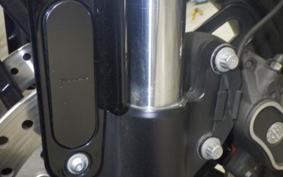 HARLEY XL1200CX 2020