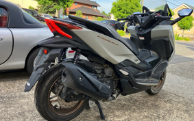 HONDA FORZA 250 MF17