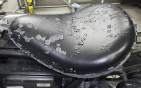 HONDA REBEL 250 2013 MC13