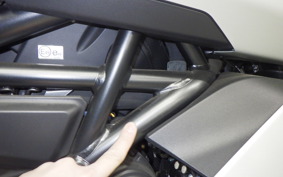 DUCATI DIAVEL 1260 2021