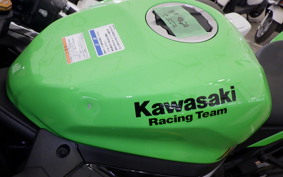 KAWASAKI ZX-4RR 2025 ZX400P