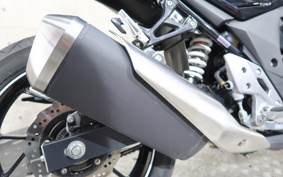 SUZUKI GSX250 R DN11A