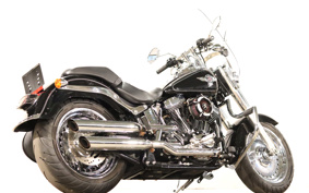 HARLEY FLSTF 2015 BX5