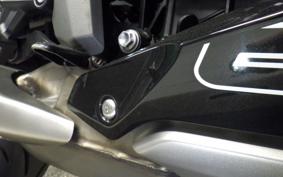 TRIUMPH DAYTONA660 2024