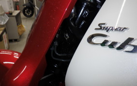 HONDA C125 SUPER CUB JA71