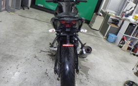 YAMAHA MT-25 1994 RG10J