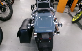 HARLEY  HARLEY FLFBS 2024 YGK