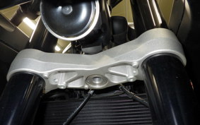 TRIUMPH DAYTONA 660 2024